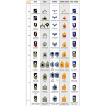 (USA)Ranks