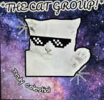 *The Cat Group!*