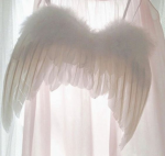 Angelic Wingz