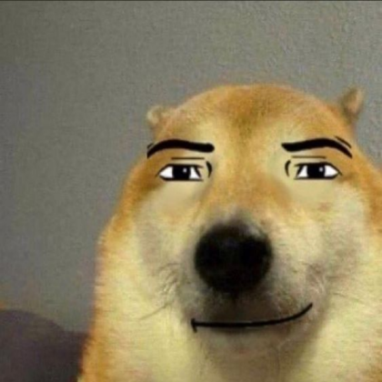Dog meme Roblox decal