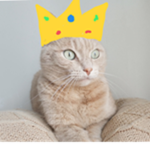The Royal Cat Squad