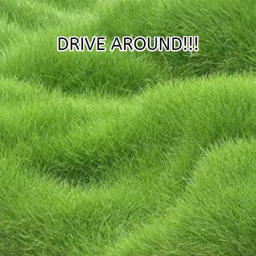 Drive Around! [ Beta! ]