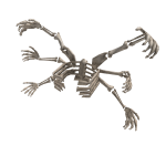 Bone Wing