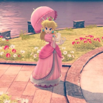 Princess Peach's Chicken house