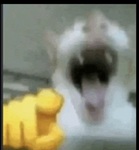 Leotrim