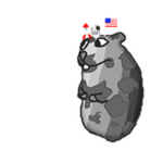 Moon Chomik