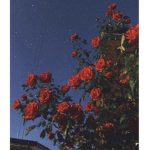 ʜxɴᴇʏʙᴇᴇᴇᴇᴇ