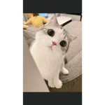 hey sup join here