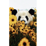 Panda army cz