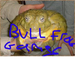 bull frog games