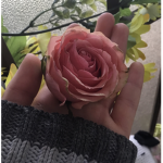 XxPerennexX