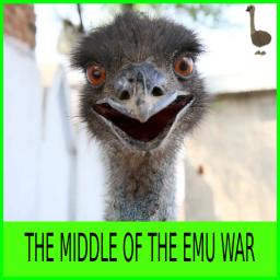 THE MIDDLE OF THE EMU WAR