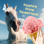 ~ Sapphire Stone Equestrians ~