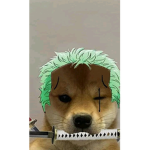 Zoro el papu