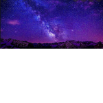 Purple Moonlight Army