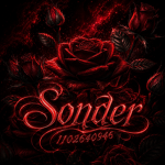 sonder ソンダー
