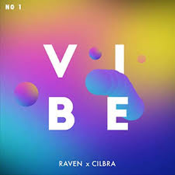 Vibe Paradise