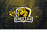 Cheetah Activities