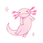 The Salamander Fan Club