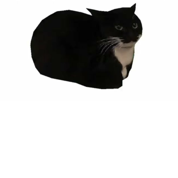 magic carpet gravty coil and spead coil [update!]