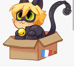 catinbox