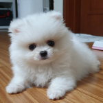 찐친들 그룹