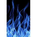 ELITE BLUE HEAT