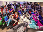 furries fun group