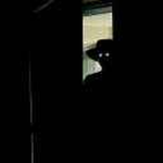 Feline Ninja's