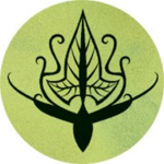 The New Kingdom of Mirkwood