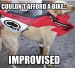 Dirt bike riders or quad