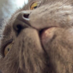 ON TAP 2.75 DEV BRANCH