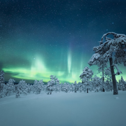 A Snowy Yet Galactic Longshot