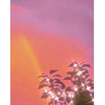 Sᴜɴsᴇᴛ ғʟᴏᴡᴇʀ ᴍᴏᴏɴʟɪɢʜᴛ