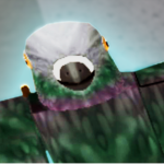 Pigeon Order