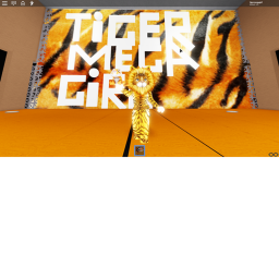 Tiger Mega Girl's Hangout!