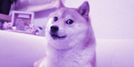 Doge T-shirt
