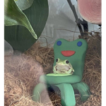 Trades_Y0N_H4N UwU