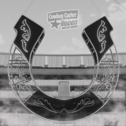 COWBOY CARTER TOUR