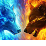 The wolves girls