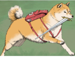 The Doge Clash