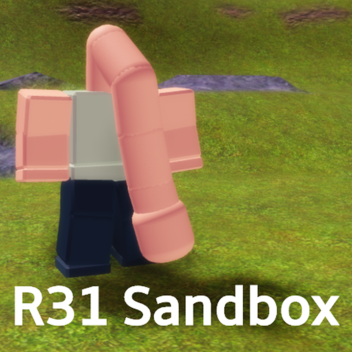 R31 Sandbox