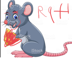 BIG RAT GANG