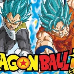 Dragon Ball Simulator