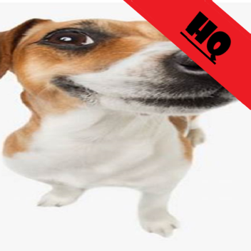 The holy dog HQ
