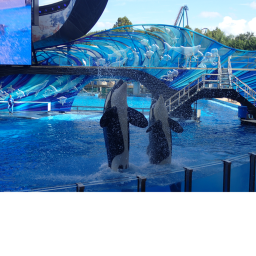 seaworld san antonio