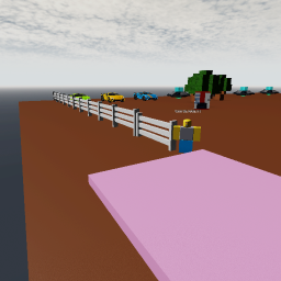 SUPER FUN OBBY!!!