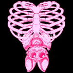 Xskulls X