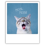 moiN moiN !