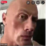 free bobux the rock sus